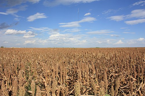 Property photo 59 - LAND AUCTION, 3255+/- Acres offered in 13 Tracts